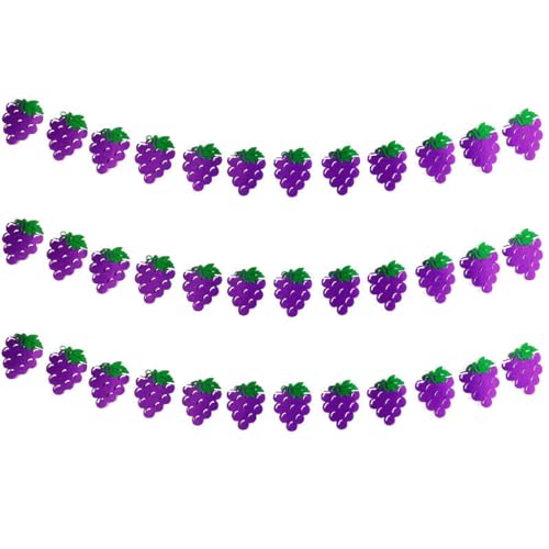 3Pcs Purple Grape Banner Fruit Grape Themed Party Garland Summer Purple Grapes Decor for Birthday Wedding Baby Shower Bridal Shower Engagement Lilac Violet Party Home Nursery Decorations