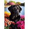 Amazon.com : Black Labrador - Best of Breed DCR Spring Garden Flag ...