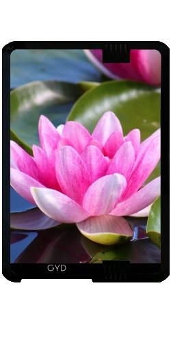 Custodia per Kindle Fire HD 7 (2012 Version)