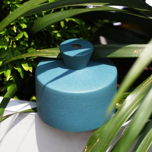 Manykettle Sino de Regador de Cerâmica, Regador Decorativo para Plantas, Vaso de Regador Elegante pa