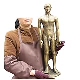 LUCKFY Modelo de acupuntura Humana - Modelo anatómico de acupuntura Masculina - Modelo de anatomía Humana de Cobre Puro para Aprender meridianos y acupuntos, 60 cm / 23.6 Pulgadas