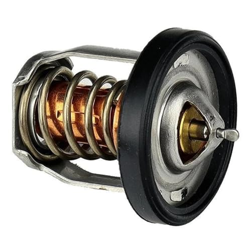 Thermostat 60° DF2.5 DF4 DF6 pièce hors-bord 17670-91J01