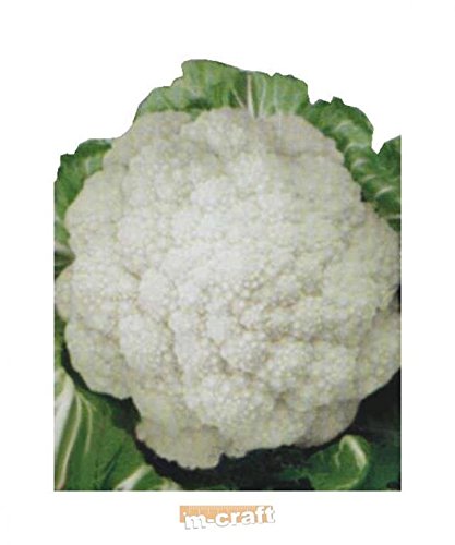 ITALIAN Heirloom heritage BRASSICAWHITE CAULIFLOWER DI JESI 100 seeds. Certified French organic grower