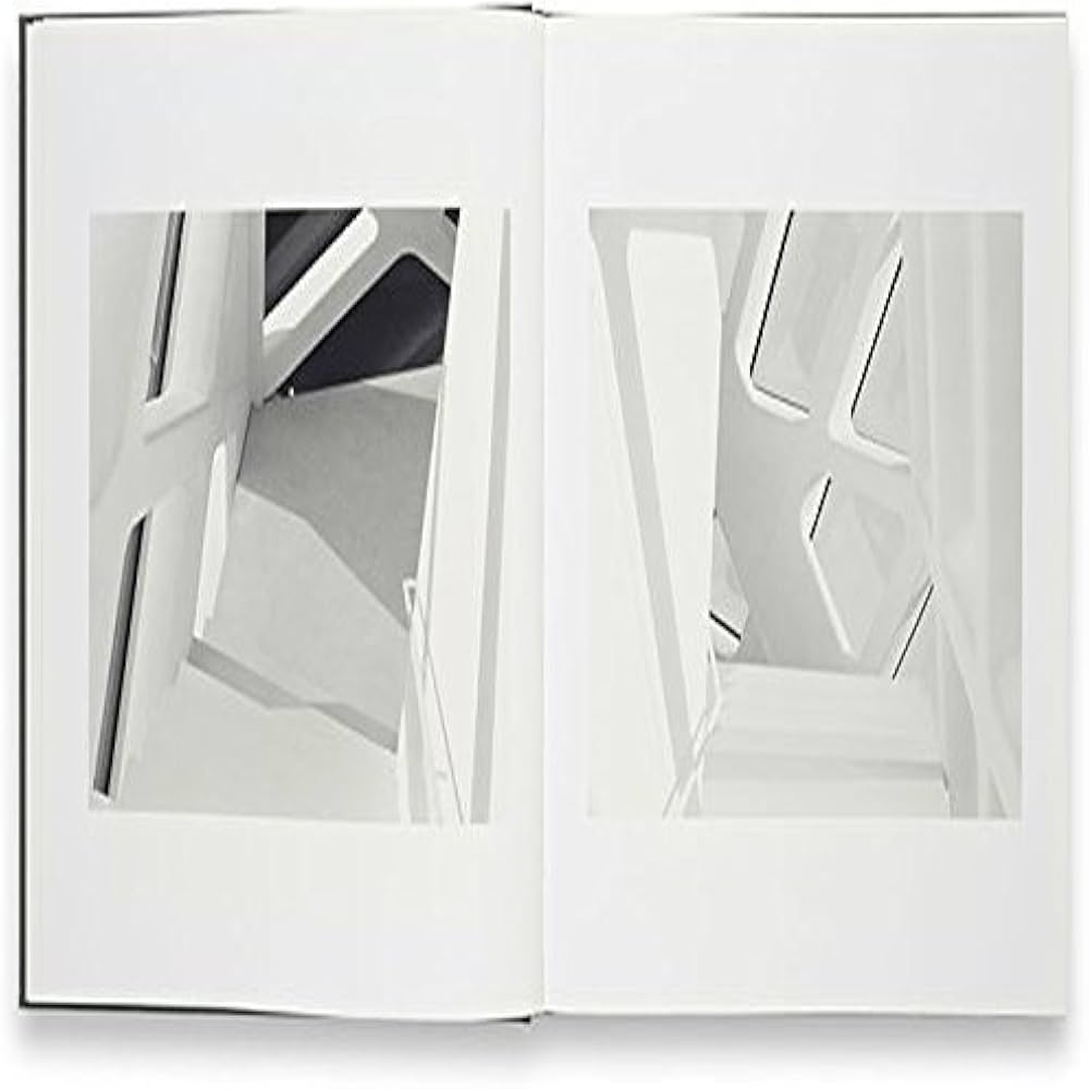 Amazon.com: James Welling: Light Sources, 1992-2005: 9783865218599