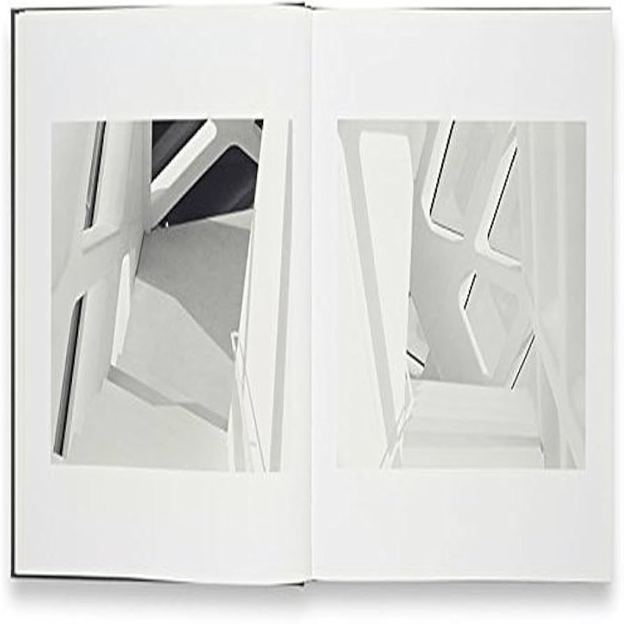 Amazon.com: James Welling: Light Sources, 1992-2005: 9783865218599