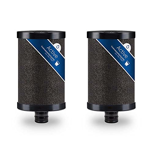 Alb Filter® Active (2er-Pack) Ersatzkartuschen | beseitigt Schadstoffe, Mikroplastik, Chlor, Blei, Pestizide | Made in Germany
