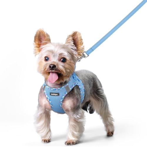 Image of rabbitgoo Dog Harness Small Sized and Leash Set, Step-in Puppy Pet Vest