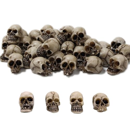 La mejor selección de Calavera coco Top 5. 35 ZSKEUR Calavera Decoracion Halloween, 20 Piezas Craneo Decorativo, Varios Tamaños, Resina Sintetica, para Fiestas, Bares, Decoracion del Hogar Y Modelos Educativos