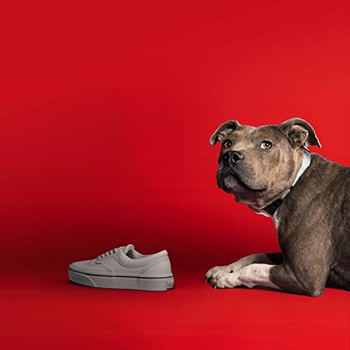 Chew Drip Shoe Dog Toy for Aggressive Chewers - Realistic Sneaker Heavy-Duty Toy for Small, Medium, Large Dogs - Tough Chew Toy - Cement Gray