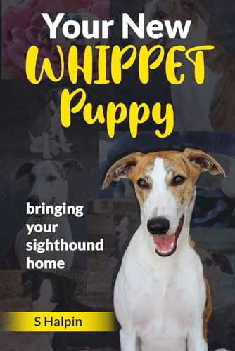 Your New WHIPPET Puppy: bringing your sighthound home