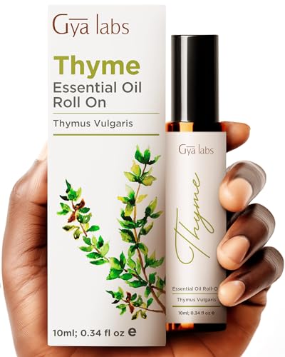 best thyme and table walmart products