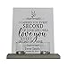 LifeSong Milestones Personalized Memorial Bereavement Comfort Candle Holder Gift for Loss of Loved One Acrylic 8x10 Condolence Sign with 2 votives Funeral Remembrance Keepsake I Carried You (Dove)