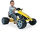 INJUSA 412 Go-Kart - Flecha a pedales para niños de 2 años...