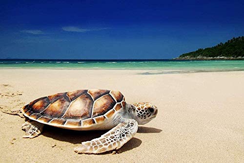 Sea Turtle on The Beach Classic Jigsaw Puzzle 1000 Pieces Adults Children Elderly Puzzle Festival Gift Modern Home Decor Wooden Puzzle 75x50cm