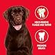 Petrodex Toothpaste For Dogs