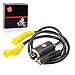 Ignition Coil & Spark Plug Wire Cap Compatible With HONDA VTX 1300 VTX1300 R/T/S/C 2004-2009 VT 1300 VT1300 CT/CRA/CR/CX/CXA/CTA/CSA/CS 2010-2020 30700-MEA-671 30510-MM8-003 30510-MCC-003