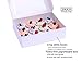 SKKH Bakery Cupcake Boxes Double Strength. Disposable Bakery Boxes with Window and Insert. Holder for 12 Cupcakes or Muffins. Used as Professional Cookie Box | Cake Gift Box.