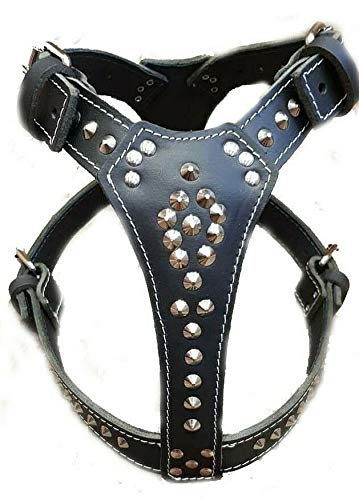 Hermoso arnés de cuero negro con tachuelas que se adapta perfectamente a cualquier raza de perro grande como Staffy