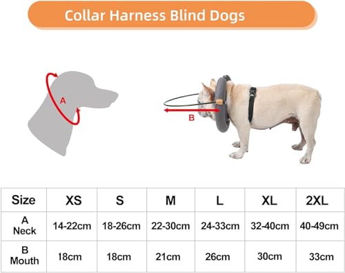BT Bear Blind Dog Collar,Elizabethan Collar with Blind Dog Harness Guiding Device,Pet Prevent Collision Collar,Face Protection Pet Safe Accessories for Cats Small Dogs (S) - Image 3