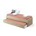 MUEBLES PITARCH Tibet Cama Nido, Aglomerado de partículas y melamina de Alta Densidad, Cambrian, 54 x 202 x 97 cm