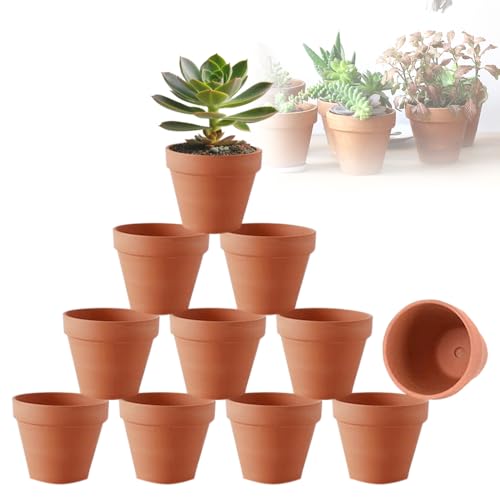 Abiemuce Pack de 10 Macetas de Terracota