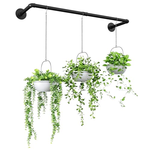 Bamworld Sospensione per Piante per Piante da Interno, Supporto per Piante Sospeso da Interno, Mensola per Piante da Finestra in Metallo Nero (Vaso e Piante Non Inclusi)