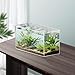 Bothyi Fish Tank Clear Easy to Clean Sturdy Fish Bowl Aquatic Landscape Tank for Aquatic Plants Creatures Terrapin, Home Decor, 29cmx19cmx15.5cm