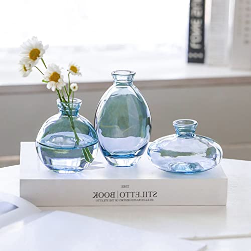 3 Pezzi Vaso di Vetro, Mini Vase, Vasi