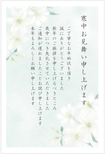 nKL r^Cv 10 p͂ CNWFbgΉ At@vgT[rXqS-KCM310 r