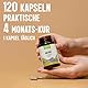Maitake Extrakt Kapseln | 30 % Polysaccharide | 4 Monatspackung – 120 Stück | Vegan & Glutenfrei | Dorado Superfoods®