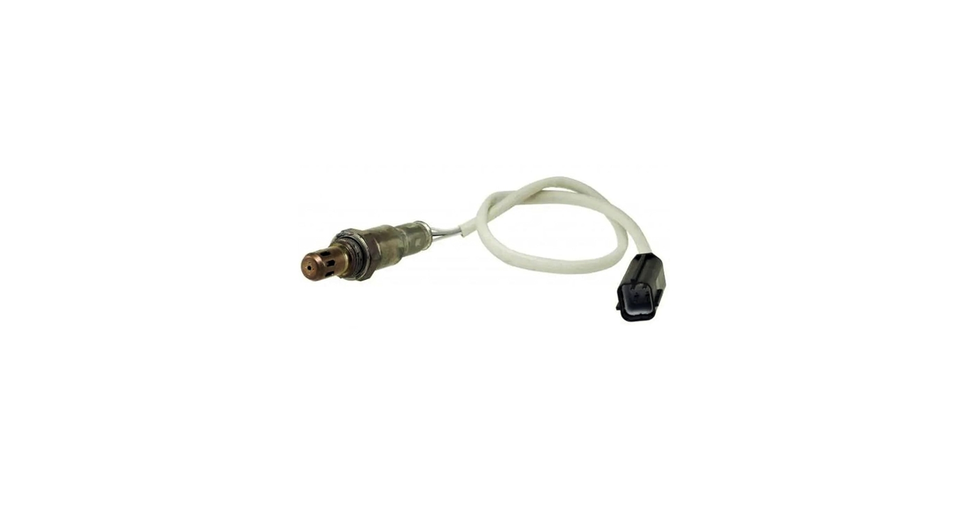 41a7dJSsCJL.jpg_BO30,255,255,