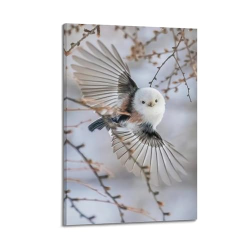 Poster mésange à queue allongée ZHOUKEG cadre suspendu 20x30 cm