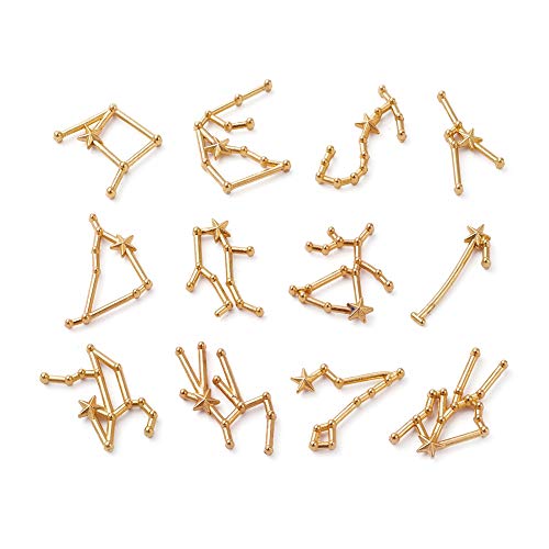 Airssory 24 Pcs Twelve Constellations Alloy Cabochons Bezel Charm for Floating Lockets Glass Living Memory Lockets Epoxy Resin Supplies Filling Accessories - 19~25mm; 12pcs/Set