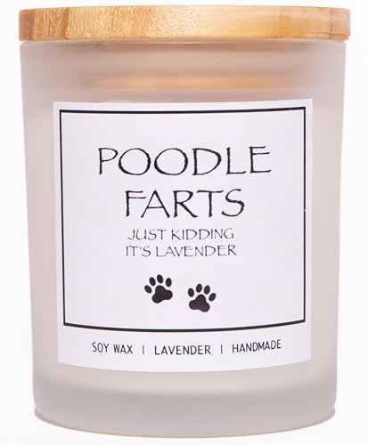 Cadeau amusant pour amateur de chien bougie anti odeur