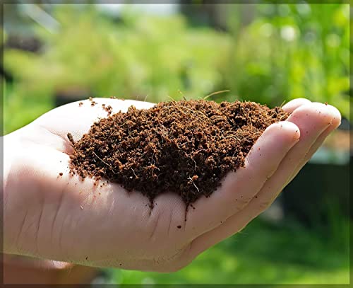 Image of Coir Block /Cocopeat Block - 650 Grams | Expands up to 3.5 Liters | Coconut Coir | Garden Manure | Organic Fertilizer | Compost for Gardening | | Natural Soil Mix- Gardenhunt (Pack of 1 No)
