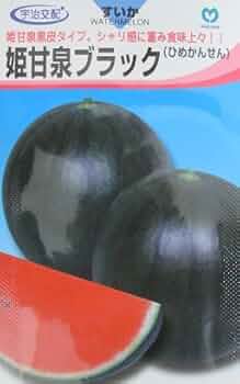 すいかMサイズ グレーと黒 2枚 すいかMサイズ グレーと黒 2枚