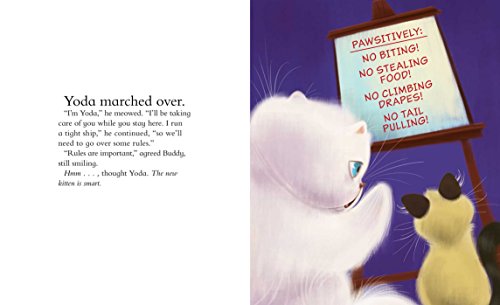 Yoda Gets a Buddy - Image 2