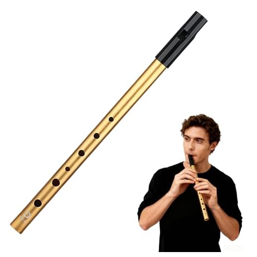 1 Flauta Irlandesa Tin Whistle en Re, Aleación de Aluminio, Sonido Tradicional Celta, Ligera y Resistente, Fácil de Tocar para Principiantes y Estudiantes