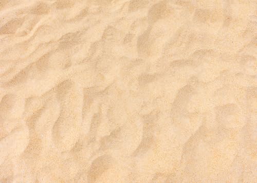 Fondo Fotográfico 7x5 FT con Diseño Verano y Arena miniatura 1
