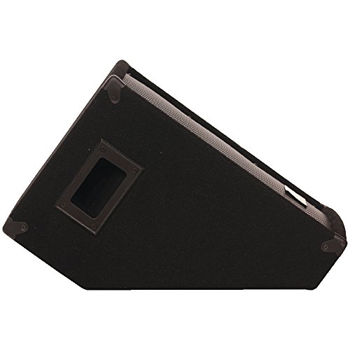 Seismic Audio - Sa-10Mtsingle - 10" Floor / Stage Monitor Wedge Style With Titanium Horn #TOP3