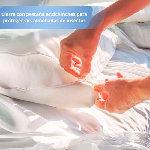 Listado de Funda para colchon anti chinches walmart , listamos los 10 mejores. 24 funda para colchon anti chinches walmart marca Sistemas Probed (3)