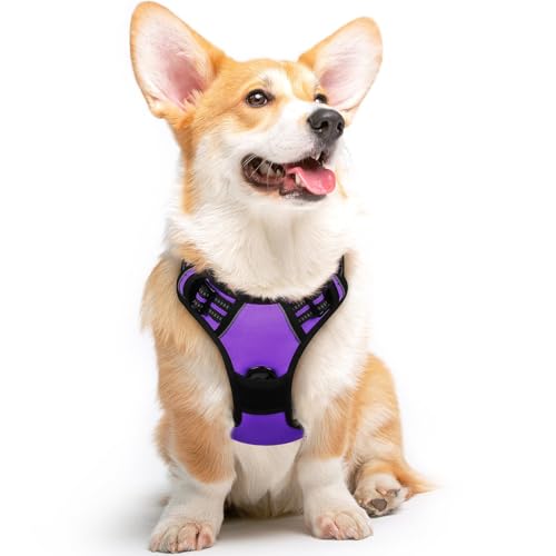 Eagloo Adjustable Reflective Breathable Mesh Front Clip No Pull Dog Harness with Handle, Purple, Medium