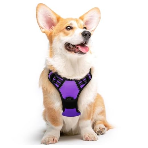 Eagloo Hundegeschirr Geschirr für Große Hunde Anti Zug Mittelgroße Brustgeschirr No Pull Sicherheitsgeschirr Auto Dog Harness Labrador Welpengeschirr Joggen Ausbruchsicher Weich Gepolstert Lila M