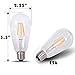 DC 12V Light Bulb ST64 2700k 4 Watt Warm White LED Edison Filament E26 Screw Base Lamp DC Low Voltage RV Marine Boat Solar Theatrical Production Stage Prop Retro Landscape Industrial Lighting 12Volt