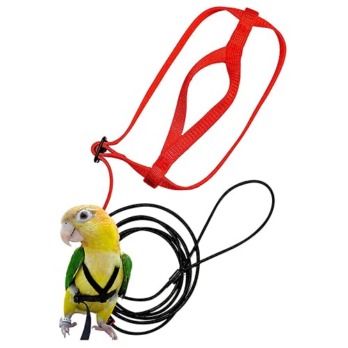 Guangyu Vogel Leine, Vogel Geschirr Leine,Anti-Biss-Flugtraining Seil Haustier Traktion im Freien Fit Wellensittich Nymphensittich Mynah Kleiner Vogel (S) Cover