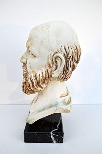 Estia Creations Ancient Greek Philosopher Socrates Great Sculpture Statue Bust Artifact