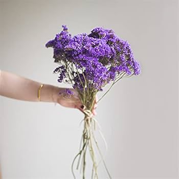 花束 Amazon｜葦の束の花の花束 20ピース紫色の花ドライ忘れ - 私は