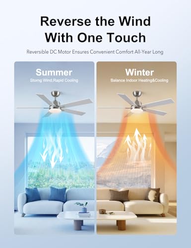 Image of Rayqueen 52Inch Brushed Nickel Ceiling Fans with Lights and Remote,Downrod