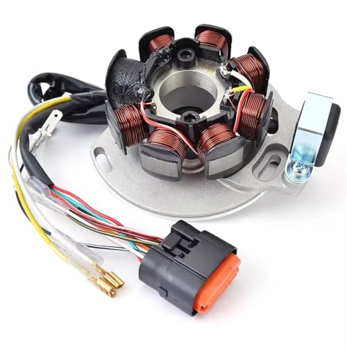 Bobine d'allumage stator alternateur GasGas EC 200 250 300 125