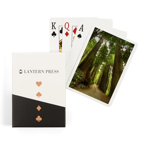 Baraja de Poker Redwood Forest Road Fotografía